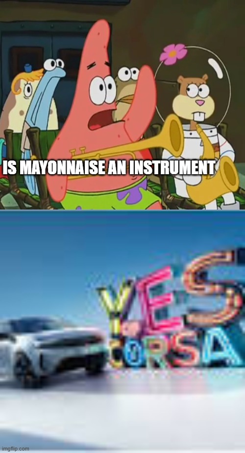 the true anwser | IS MAYONNAISE AN INSTRUMENT | image tagged in yes of corsa,is mayonnaise an instrument | made w/ Imgflip meme maker