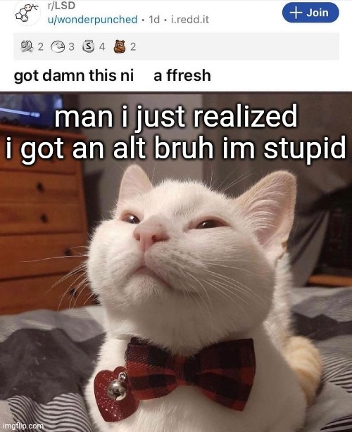LSD cat | man i just realized i got an alt bruh im stupid | image tagged in lsd cat | made w/ Imgflip meme maker