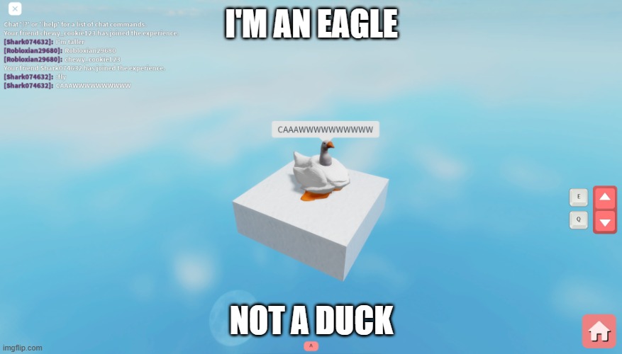 I'm An Eagle! | I'M AN EAGLE; NOT A DUCK | image tagged in the eagle,eagle,eagles,duck,ducks,imgflip | made w/ Imgflip meme maker