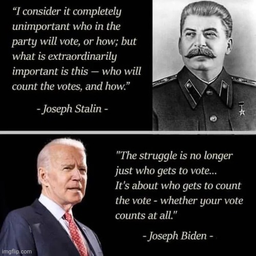 Great Analogy | image tagged in dictator,mr potato head,putin's plan,politicians suck,democracy,well yes but actually no | made w/ Imgflip meme maker