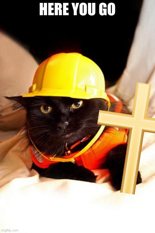 HERE YOU GO | image tagged in construction cat | made w/ Imgflip meme maker