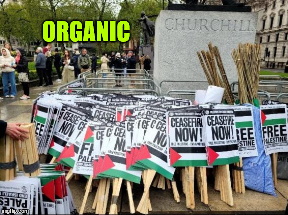 MSM - It was an organic protest | ORGANIC | image tagged in msm,organic,protest,soros,qatar,funding | made w/ Imgflip meme maker