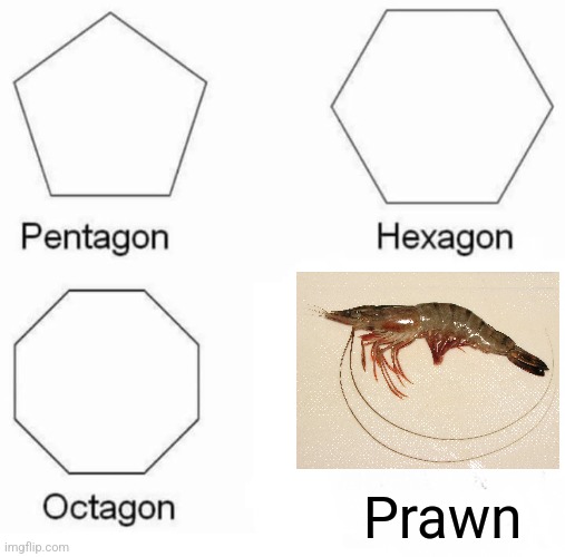 Prawn | Prawn | image tagged in memes,pentagon hexagon octagon,ocean,jpfan102504 | made w/ Imgflip meme maker