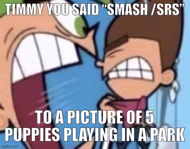 Cosmo yelling at timmy | TIMMY YOU SAID “SMASH /SRS”; TO A PICTURE OF 5 PUPPIES PLAYING IN A PARK | image tagged in cosmo yelling at timmy | made w/ Imgflip meme maker
