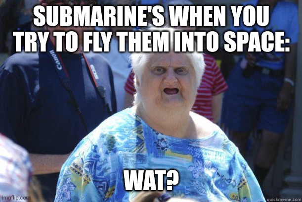 Flying submarines | SUBMARINE'S WHEN YOU TRY TO FLY THEM INTO SPACE:; WAT? | image tagged in wat cat lady,jpfan102504 | made w/ Imgflip meme maker