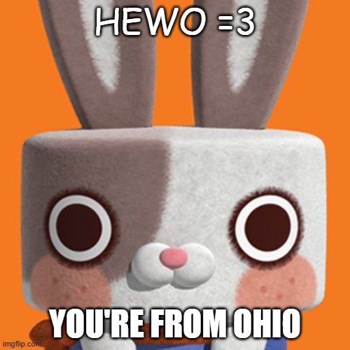 send this to your biggest hater for shock value | HEWO =3; YOU'RE FROM OHIO | image tagged in canimals meme | made w/ Imgflip meme maker
