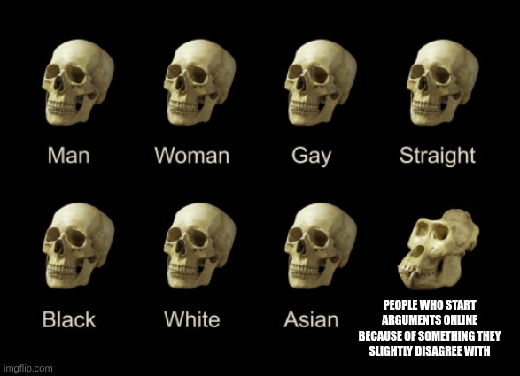 Dumb Skull Meme | PEOPLE WHO START ARGUMENTS ONLINE BECAUSE OF SOMETHING THEY SLIGHTLY DISAGREE WITH | image tagged in dumb skull meme,so true memes,funny,relatable | made w/ Imgflip meme maker