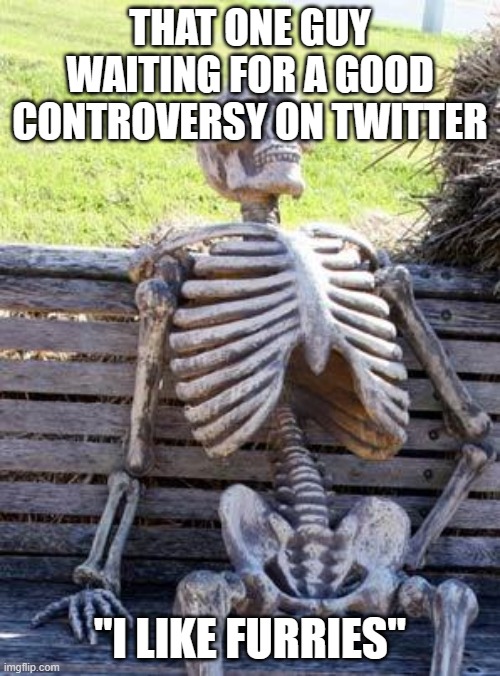 Controversy Isn't Even Fun | THAT ONE GUY WAITING FOR A GOOD CONTROVERSY ON TWITTER; "I LIKE FURRIES" | image tagged in memes,waiting skeleton,controversy,twitter | made w/ Imgflip meme maker