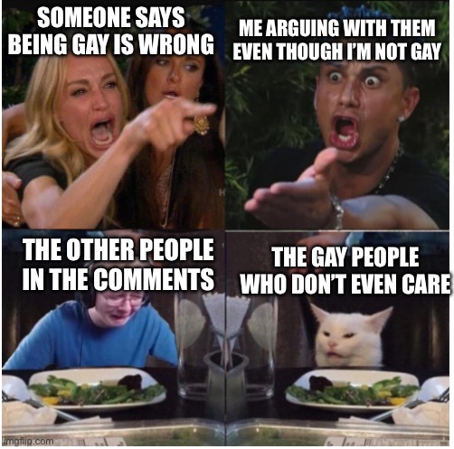 Homophobic people suck | SOMEONE SAYS BEING GAY IS WRONG; ME ARGUING WITH THEM EVEN THOUGH I’M NOT GAY; THE OTHER PEOPLE IN THE COMMENTS; THE GAY PEOPLE WHO DON’T EVEN CARE | made w/ Imgflip meme maker