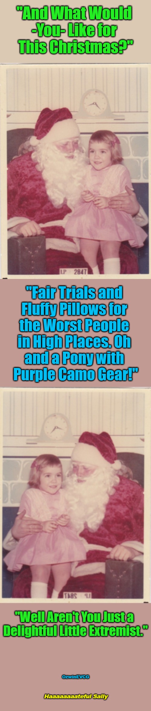 Haaaaaaaateful Sally | "And What Would 

-You- Like for 

This Christmas?"; "Fair Trials and 

Fluffy Pillows for 

the Worst People 

in High Places. Oh 

and a Pony with 

Purple Camo Gear!"; "Well Aren't You Just a 

Delightful Little Extremist."; OzwinEVCG; Haaaaaaaateful Sally | image tagged in asking santa,memes,far right,triggered,extreme,world occupied | made w/ Imgflip meme maker