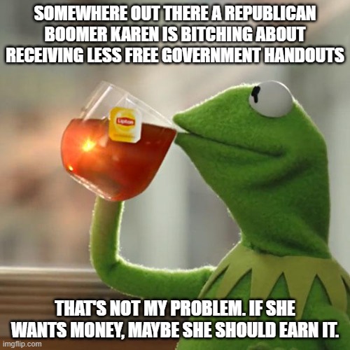 If boomers want money, maybe they should earn it | SOMEWHERE OUT THERE A REPUBLICAN BOOMER KAREN IS BITCHING ABOUT RECEIVING LESS FREE GOVERNMENT HANDOUTS; THAT'S NOT MY PROBLEM. IF SHE WANTS MONEY, MAYBE SHE SHOULD EARN IT. | image tagged in memes,but that's none of my business,kermit the frog | made w/ Imgflip meme maker