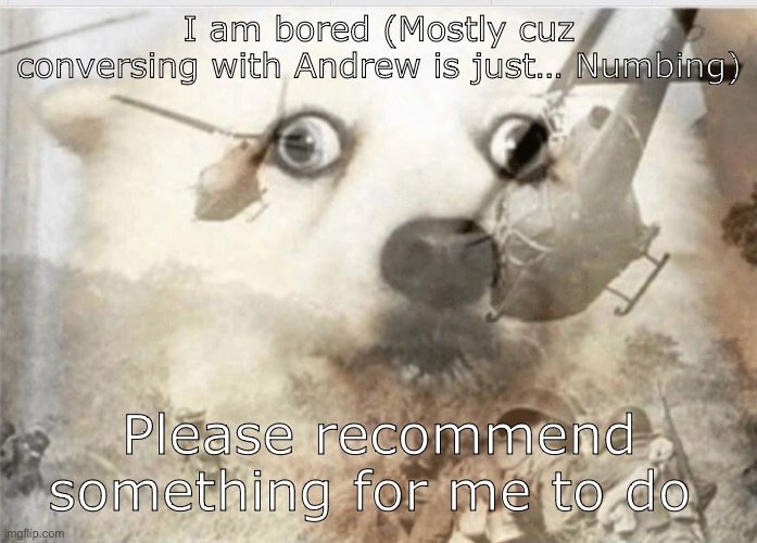 Please keep it appropriate | I am bored (Mostly cuz conversing with Andrew is just… Numbing); Please recommend something for me to do | image tagged in ptsd dog | made w/ Imgflip meme maker