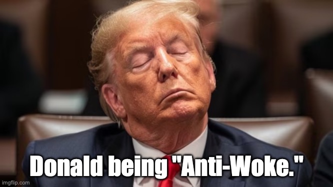 Sleepy Donny | Donald being "Anti-Woke." | image tagged in woke,trump,sleeping | made w/ Imgflip meme maker