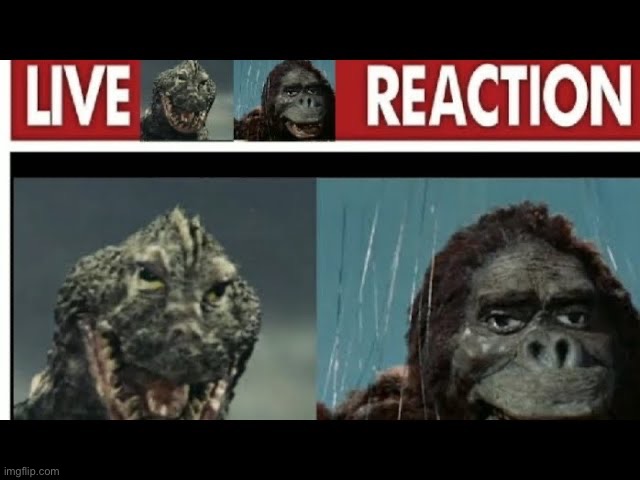 Live godzilla and kong reaction | image tagged in live godzilla and kong reaction | made w/ Imgflip meme maker