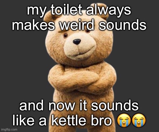 ted png | my toilet always makes weird sounds; and now it sounds like a kettle bro 😭😭 | image tagged in ted png | made w/ Imgflip meme maker