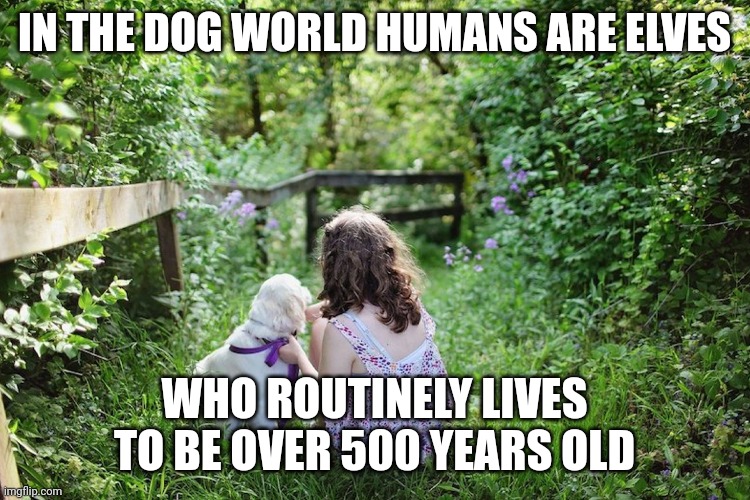 Dog and girl | IN THE DOG WORLD HUMANS ARE ELVES; WHO ROUTINELY LIVES TO BE OVER 500 YEARS OLD | image tagged in dog and girl | made w/ Imgflip meme maker