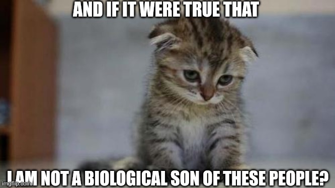 Sad kitten | AND IF IT WERE TRUE THAT; I AM NOT A BIOLOGICAL SON OF THESE PEOPLE? | image tagged in sad kitten | made w/ Imgflip meme maker