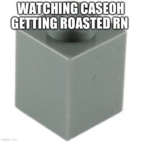 1x1 lego piece | WATCHING CASEOH GETTING ROASTED RN | image tagged in 1x1 lego piece | made w/ Imgflip meme maker