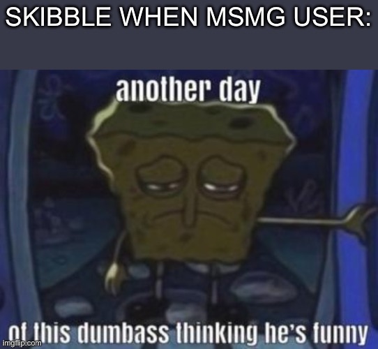 SKIBBLE WHEN MSMG USER: | made w/ Imgflip meme maker