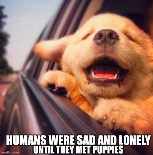 happy puppy | HUMANS WERE SAD AND LONELY; UNTIL THEY MET PUPPIES | image tagged in happy puppy | made w/ Imgflip meme maker