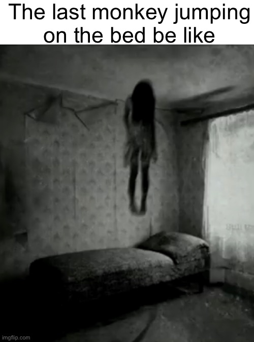 The last monkey jumping
on the bed be like | made w/ Imgflip meme maker