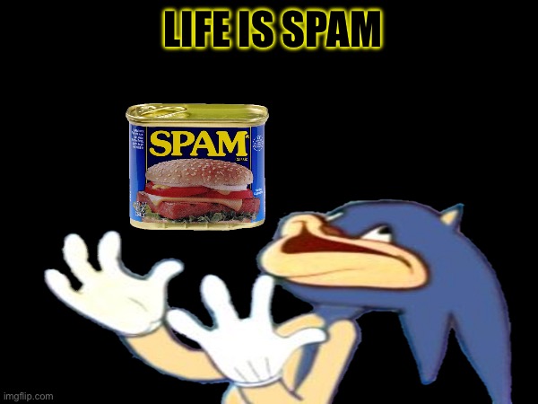 SPAMMER SPAMMING SPAMS | LIFE IS SPAM | image tagged in spam,ham | made w/ Imgflip meme maker
