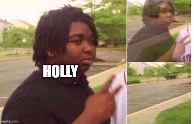 fading away | HOLLY | image tagged in fading away | made w/ Imgflip meme maker