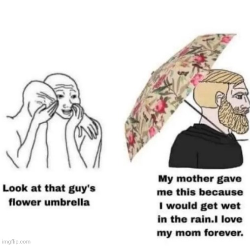 image tagged in memes | made w/ Imgflip meme maker