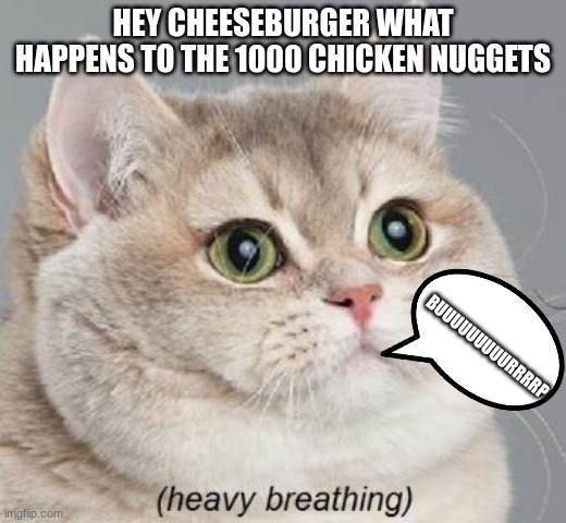 chunky nugget | HEY CHEESEBURGER WHAT HAPPENS TO THE 1000 CHICKEN NUGGETS; BUUUUUUUUURRRRP | image tagged in memes,heavy breathing cat | made w/ Imgflip meme maker