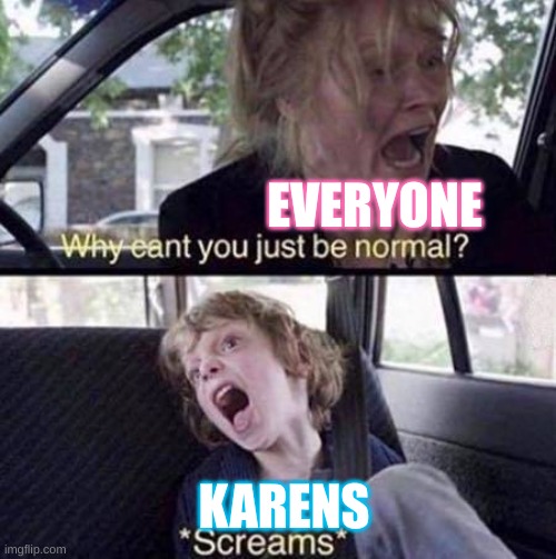 true though | EVERYONE; KARENS | image tagged in why can't you just be normal | made w/ Imgflip meme maker