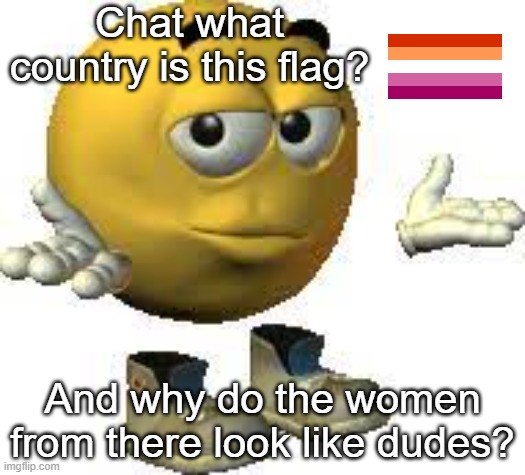 Emoji guy shrug | Chat what country is this flag? And why do the women from there look like dudes? | image tagged in emoji guy shrug | made w/ Imgflip meme maker