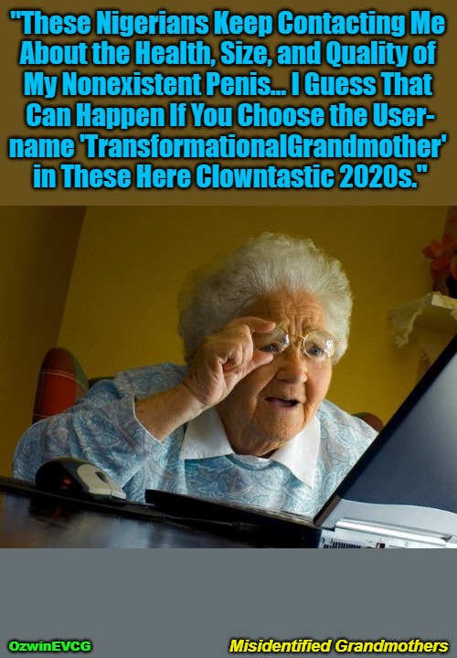 Misidentified Grandmothers | "These Nigerians Keep Contacting Me 

About the Health, Size, and Quality of 

My Nonexistent Penis... I Guess That 

Can Happen If You Choose the User-

name 'TransformationalGrandmother' 

in These Here Clowntastic 2020s."; Misidentified Grandmothers; OzwinEVCG | image tagged in political humor,social commentary,memes,grandma finds the internet,clowntastic,2020s | made w/ Imgflip meme maker