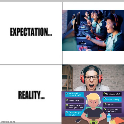 This is absolutely nothing except the saddest possible gaming future there could be for our society to deal with in a nutshell | image tagged in expectation vs reality,memes,gaming,online gaming,cyberbullying,sad but true | made w/ Imgflip meme maker