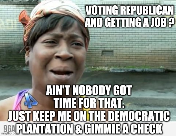 Sweet Brown | VOTING REPUBLICAN
AND GETTING A JOB ? AIN'T NOBODY GOT TIME FOR THAT.
JUST KEEP ME ON THE DEMOCRATIC PLANTATION & GIMMIE A CHECK | image tagged in sweet brown | made w/ Imgflip meme maker