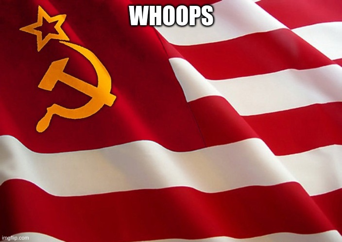 Democrat Flag | WHOOPS | image tagged in democrat flag | made w/ Imgflip meme maker