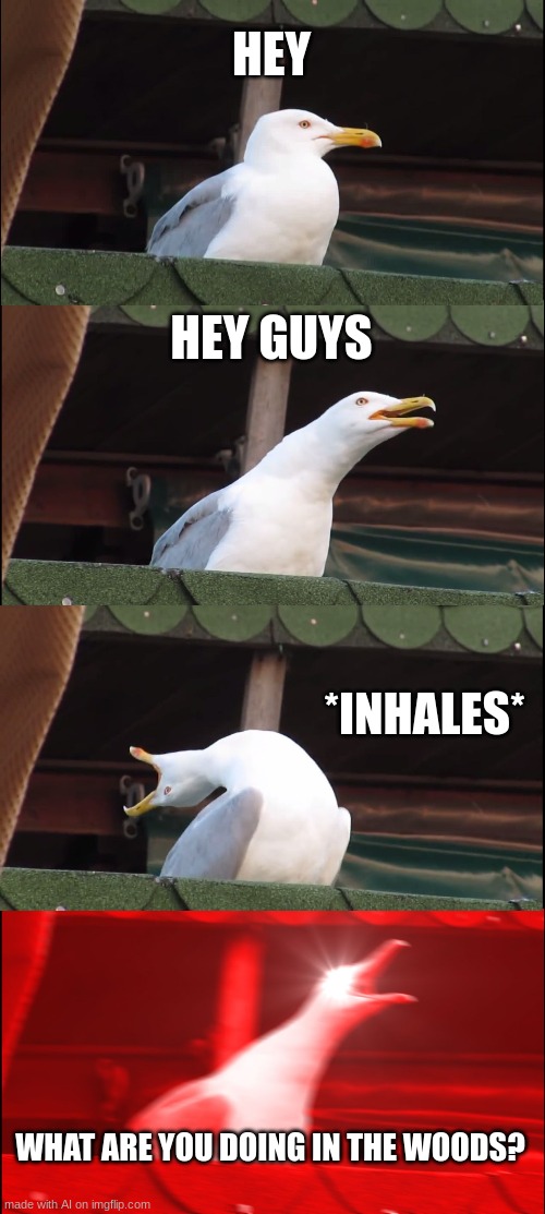 probably poking a bear with a long sharp stick | HEY; HEY GUYS; *INHALES*; WHAT ARE YOU DOING IN THE WOODS? | image tagged in inhaling seagull,ai,memes | made w/ Imgflip meme maker