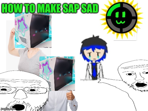 New tutor | HOW TO MAKE SAP SAD | image tagged in the bossfights theorist,sad,tutorial | made w/ Imgflip meme maker