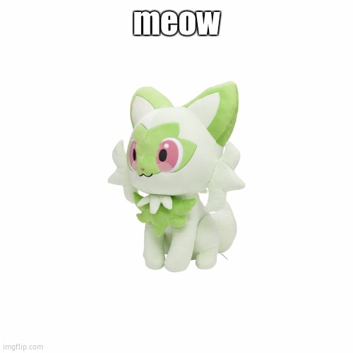 meoww | meow | image tagged in sprigatito plush | made w/ Imgflip meme maker