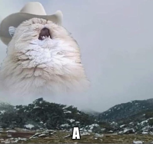 Country Roads Cat | A | image tagged in country roads cat | made w/ Imgflip meme maker