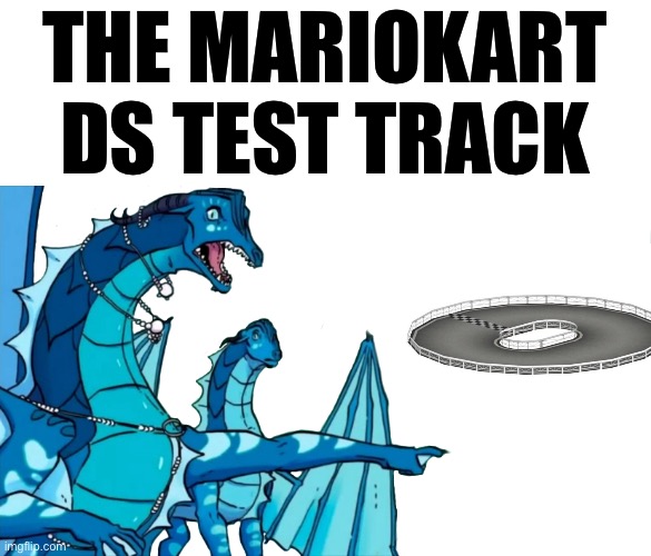 Terrible meme I know. I’m just using this bs as an excuse to use the wackiest frame in WoF history | THE MARIOKART DS TEST TRACK | image tagged in queen coral pointing | made w/ Imgflip meme maker