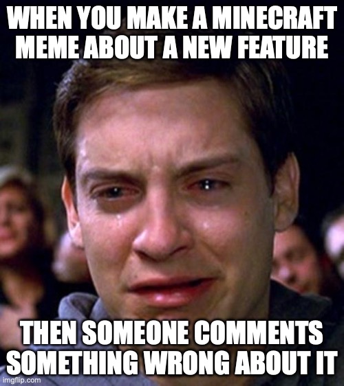 rip | WHEN YOU MAKE A MINECRAFT MEME ABOUT A NEW FEATURE; THEN SOMEONE COMMENTS SOMETHING WRONG ABOUT IT | image tagged in crying peter parker | made w/ Imgflip meme maker