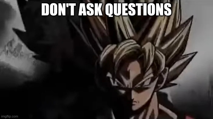 Goku Staring | DON'T ASK QUESTIONS | image tagged in goku staring | made w/ Imgflip meme maker