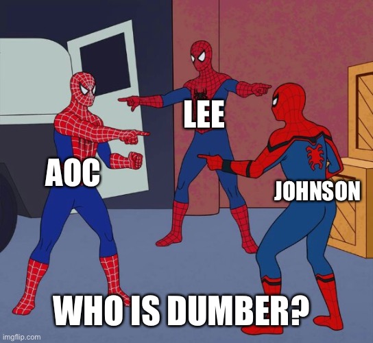 Spider Man Triple | AOC LEE JOHNSON WHO IS DUMBER? | image tagged in spider man triple | made w/ Imgflip meme maker