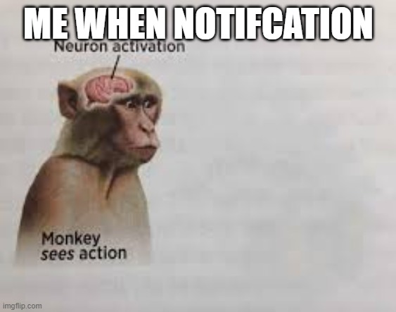 i legit have one neutron for the notifications | ME WHEN NOTIFCATION | image tagged in neuron activation | made w/ Imgflip meme maker