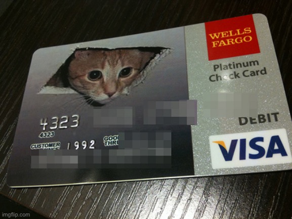 Ceiling Cat Credit Card | image tagged in ceiling cat credit card | made w/ Imgflip meme maker