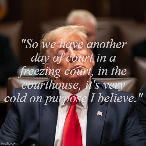 Not 100% on conspiracy lore but don't the lizard people have a thing for gold and get sluggish at low temps? | "So we have another day of court in a freezing court, in the courthouse, it's very cold on purpose I believe." | image tagged in trump is sleeping at trial,snake,conspiracy theories,lizard people,just sayin' | made w/ Imgflip meme maker