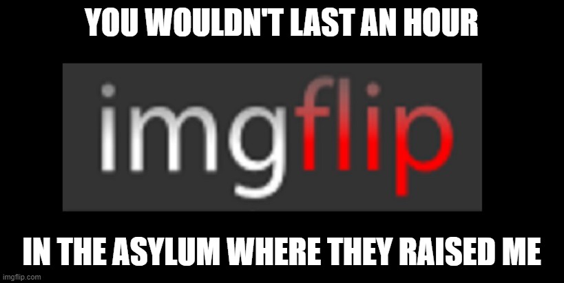 imgflip | YOU WOULDN'T LAST AN HOUR; IN THE ASYLUM WHERE THEY RAISED ME | image tagged in imgflip | made w/ Imgflip meme maker