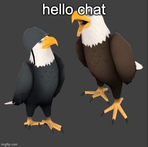tf2 eagles | hello chat | image tagged in tf2 eagles | made w/ Imgflip meme maker