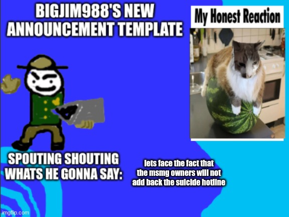 lets face the fact that the msmg owners will not add back the suicide hotline | image tagged in bigjim998s new template | made w/ Imgflip meme maker