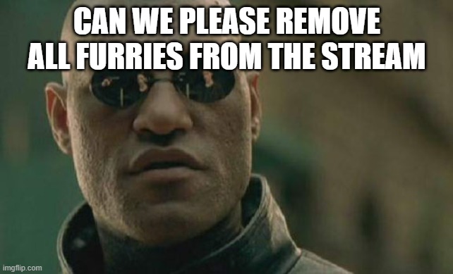 Matrix Morpheus Meme | CAN WE PLEASE REMOVE ALL FURRIES FROM THE STREAM | image tagged in memes,matrix morpheus | made w/ Imgflip meme maker